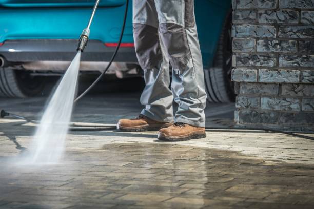 Best Pre-Holiday Cleaning  in Cassopolis, MI
